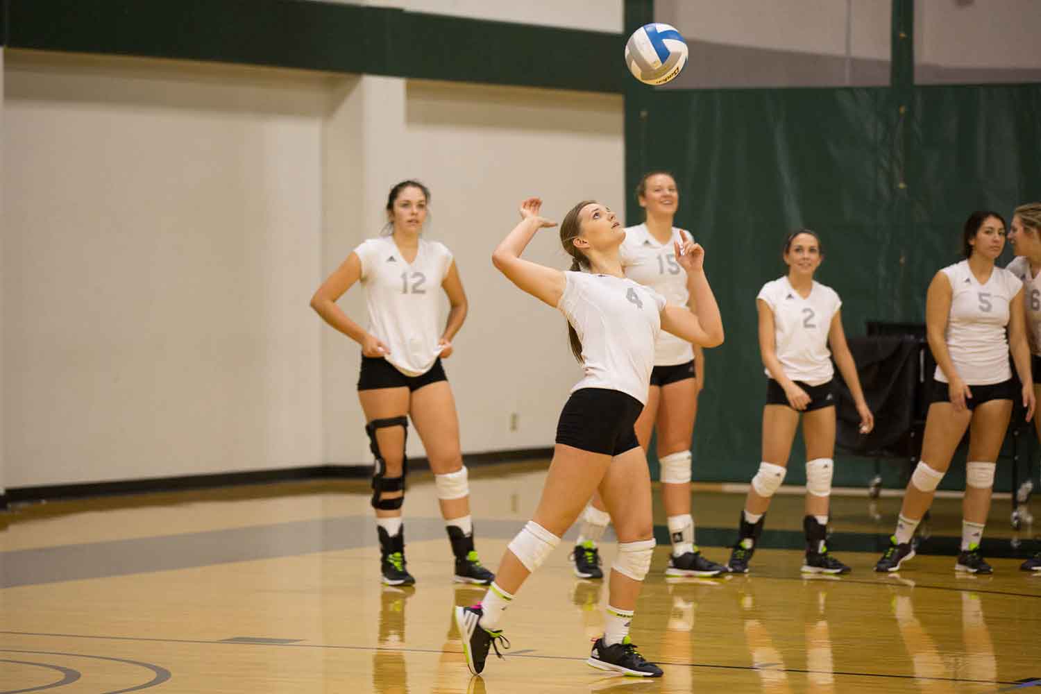 Volleyball | Chemeketa Community College Volleyball | Chemeketa Community College